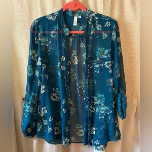 Women’s sheer button up blouse